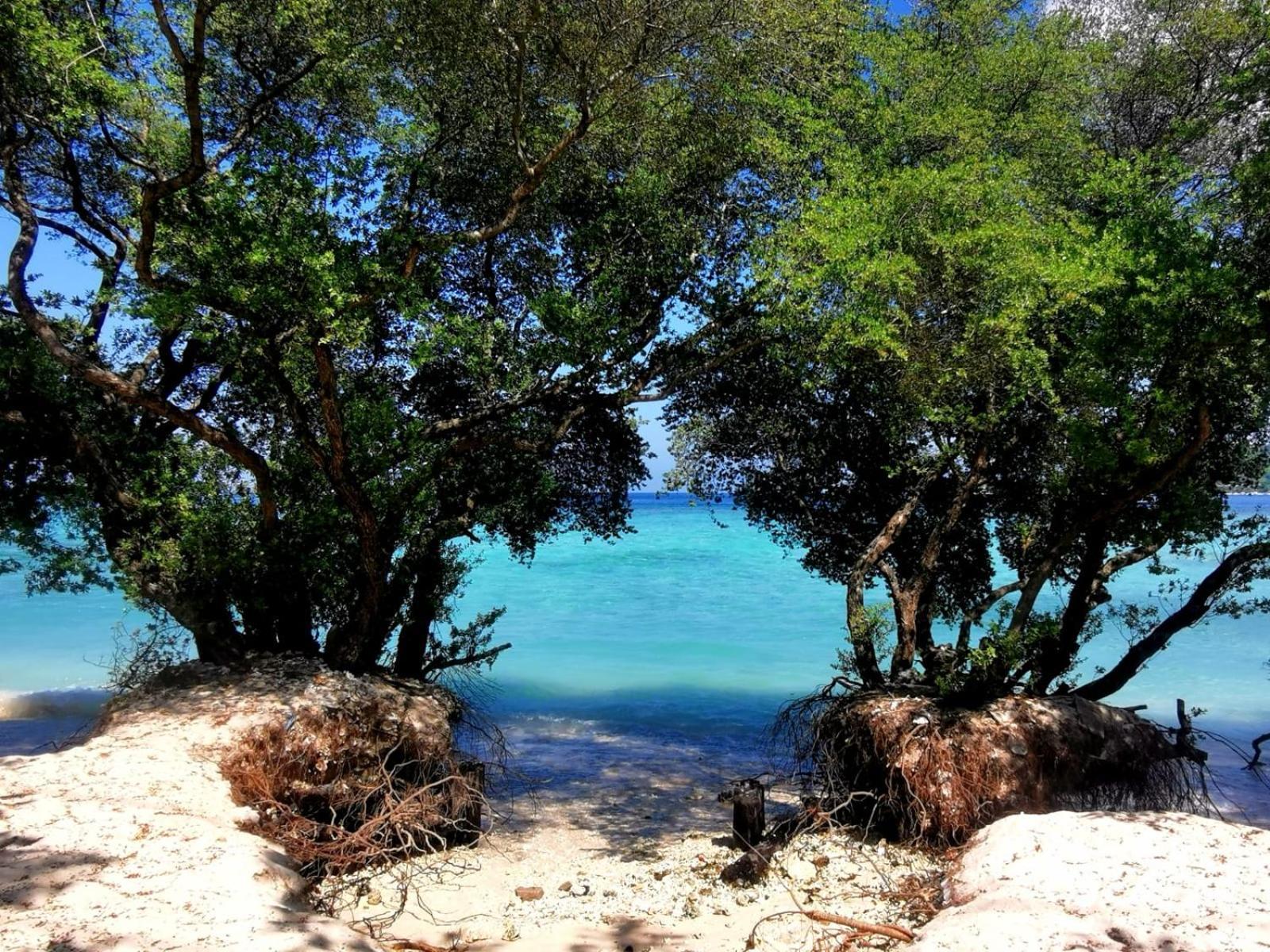 Exotic House Villa Gili Meno Dış mekan fotoğraf