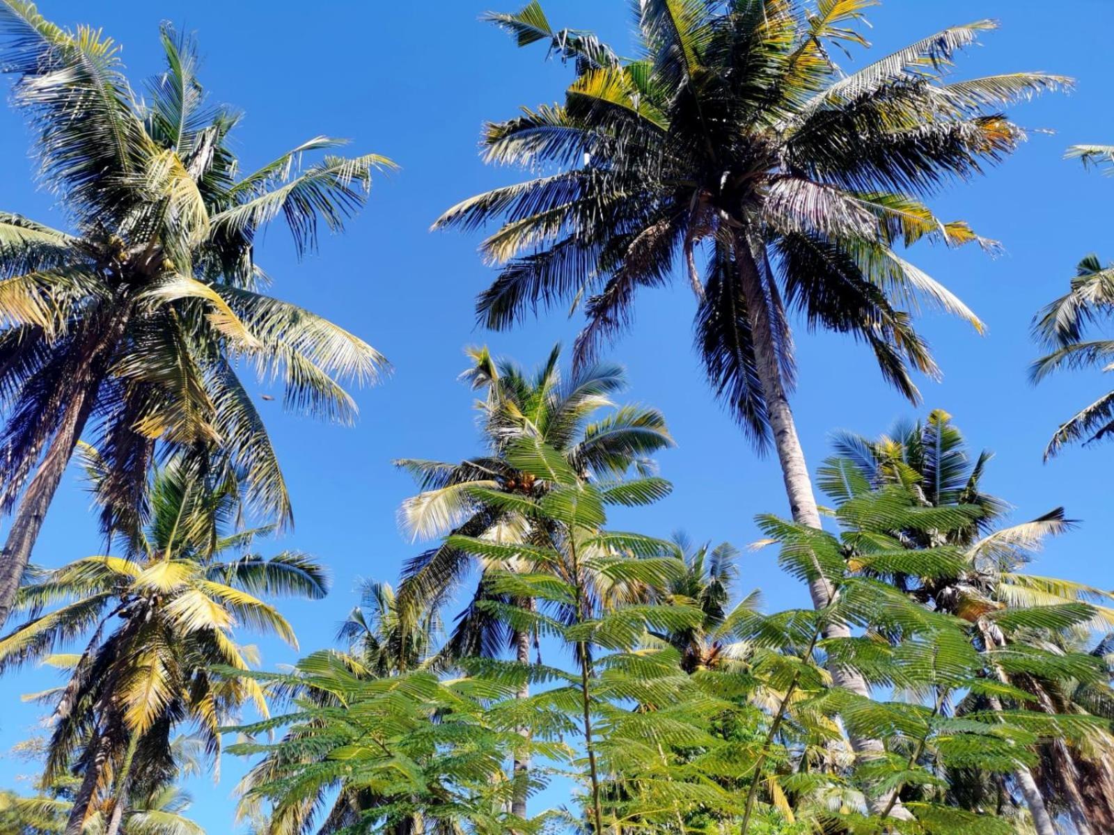 Exotic House Villa Gili Meno Dış mekan fotoğraf