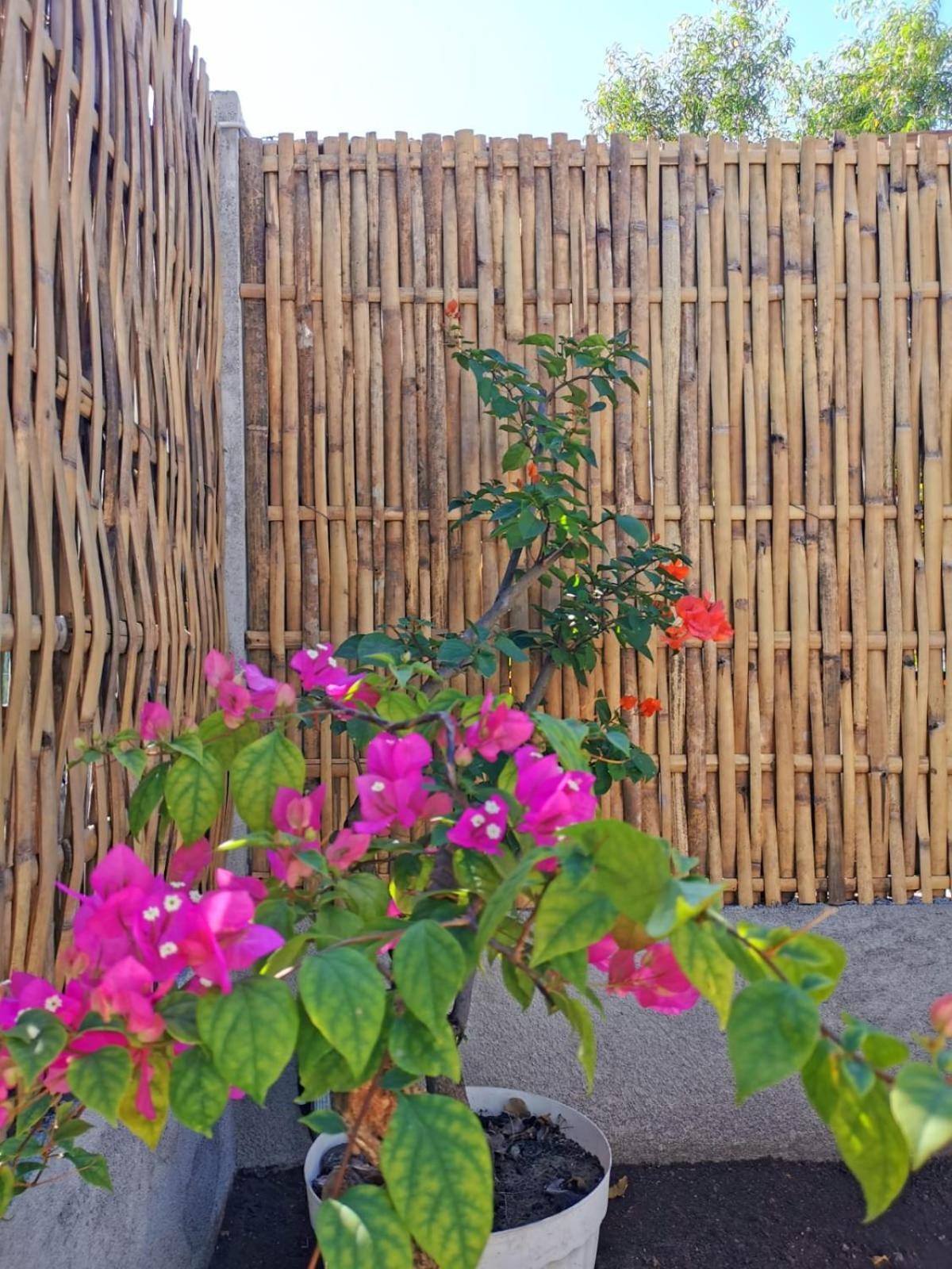 Exotic House Villa Gili Meno Dış mekan fotoğraf