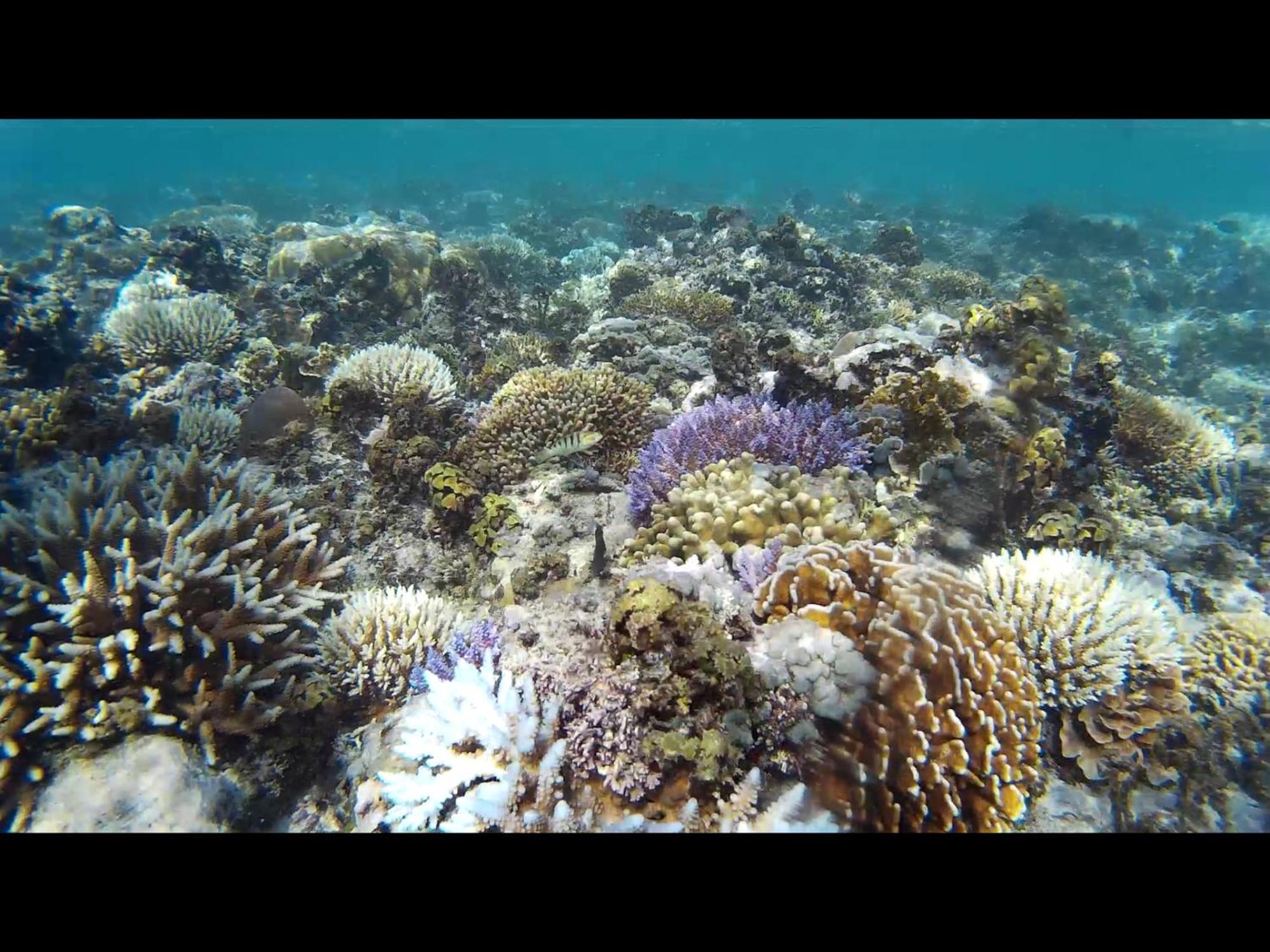 Exotic House Villa Gili Meno Dış mekan fotoğraf
