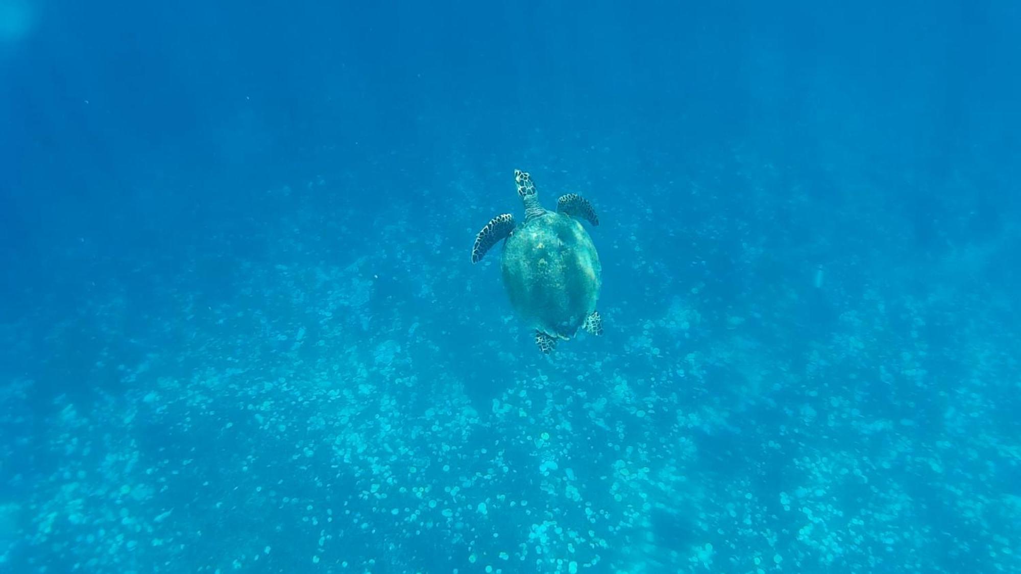 Exotic House Villa Gili Meno Dış mekan fotoğraf
