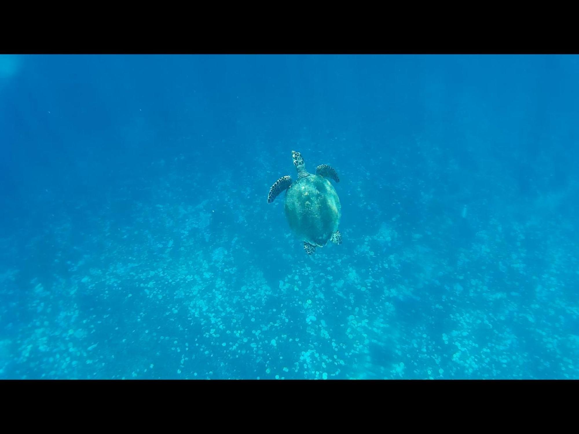 Exotic House Villa Gili Meno Dış mekan fotoğraf