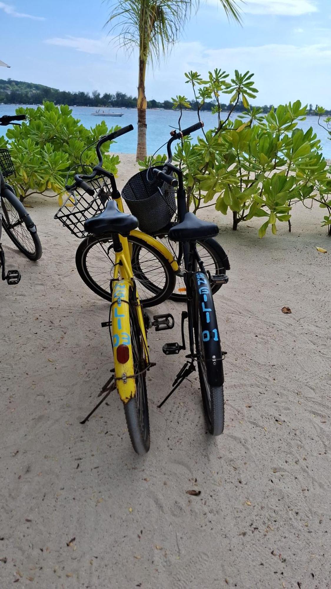 Exotic House Villa Gili Meno Oda fotoğraf