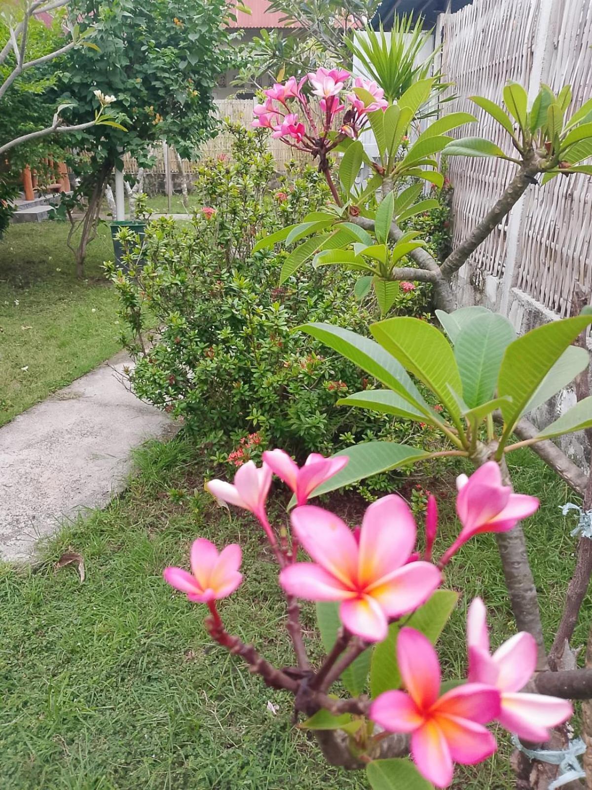 Exotic House Villa Gili Meno Oda fotoğraf