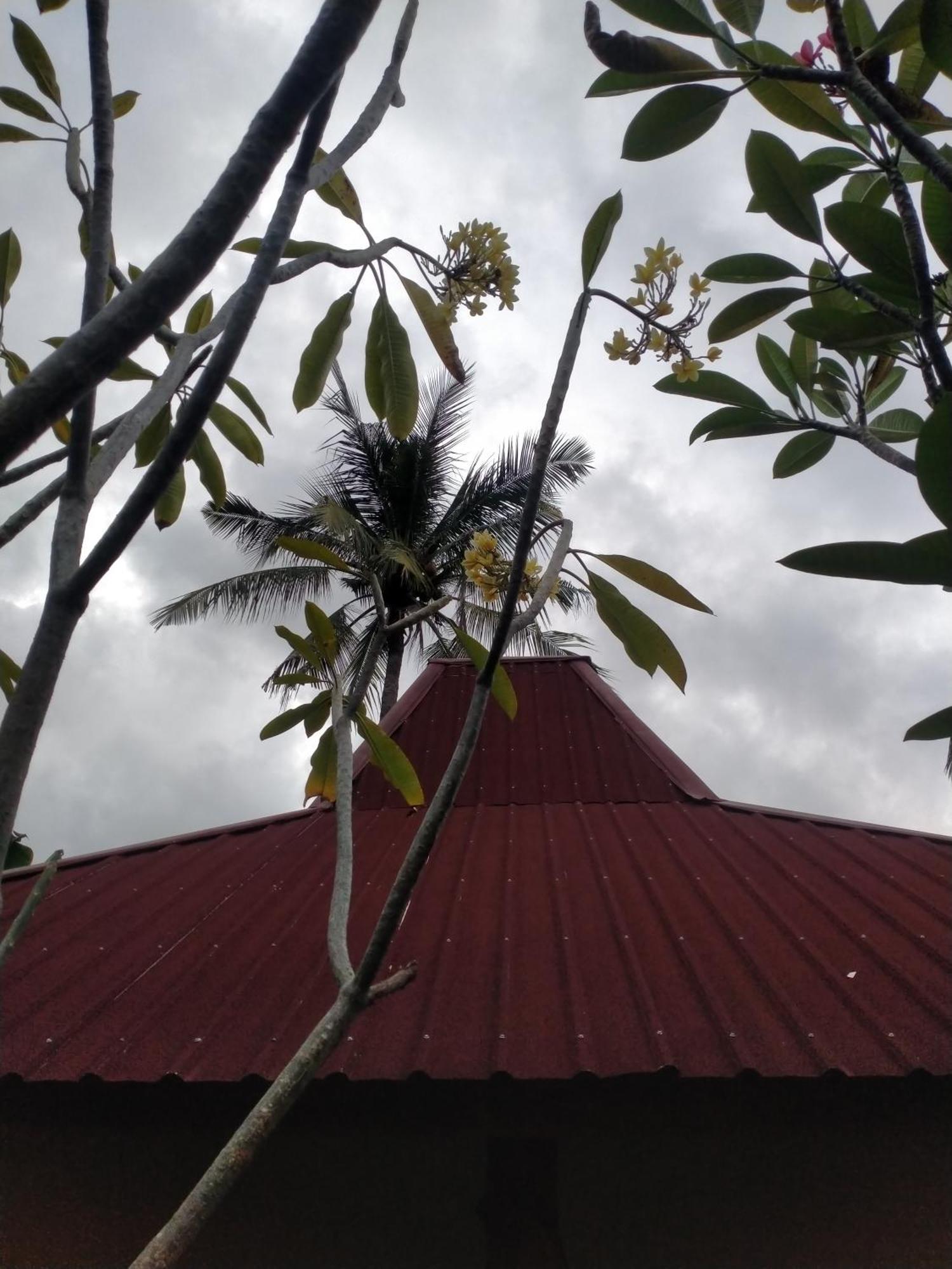 Exotic House Villa Gili Meno Oda fotoğraf